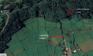 Fotografia 1 de Terreno Rustico - Mata/ Arvoredo nas Fontinhas 242m2