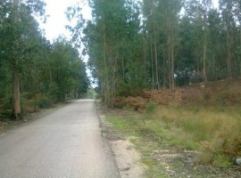 Fotografia 1 de Três Lotes para construção habitacional