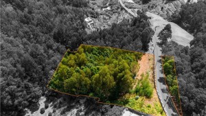 Fotografia 1 de Terreno para construção em Santa Cruz