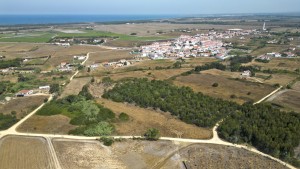 Fotografia 1 de Quinta com 4,9000 ha e ruina de 47,3 m2 em Longueira