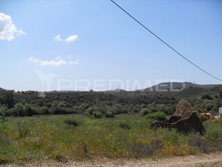 6g7oj81ccg836tr89131md.jpg