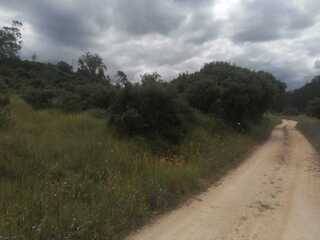 Fotografia 1 de Terreno Rustico Raposa - Sobral Monte agraço