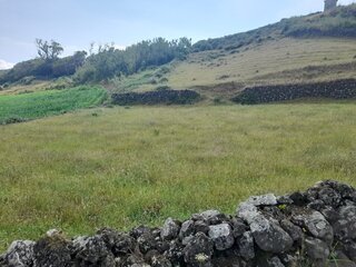 sfwn8cewivhwt0529x85.jpg