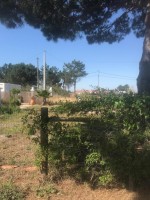 Fotografia 1 de Terreno Rústico de 298m2 - Vila Nova de Mil Fontes