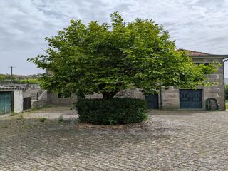 s9akt2ce75sq8obdb8ocxq.jpg