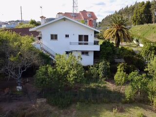 n755bli83yhxzr7mqf7d7.jpeg