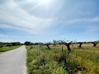 wu5pf00g2okynfi9jezpm.jpg