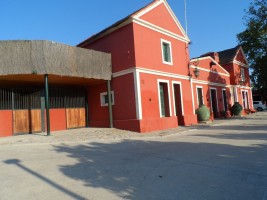 Fotografia 1 de Infraestrutura Equestre de Excelência com Potencial Habitacional