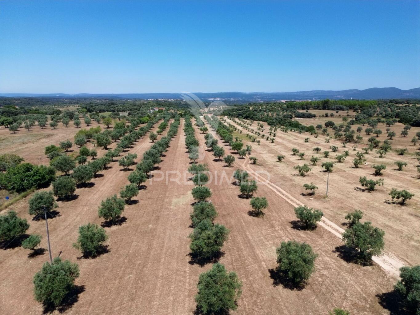 Quinta Rural