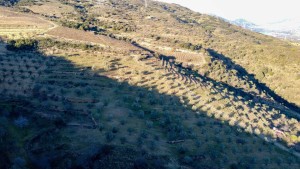 Fotografia 1 de Propriedade de Excelência com Mais de 22 Hectares no Coração do Douro