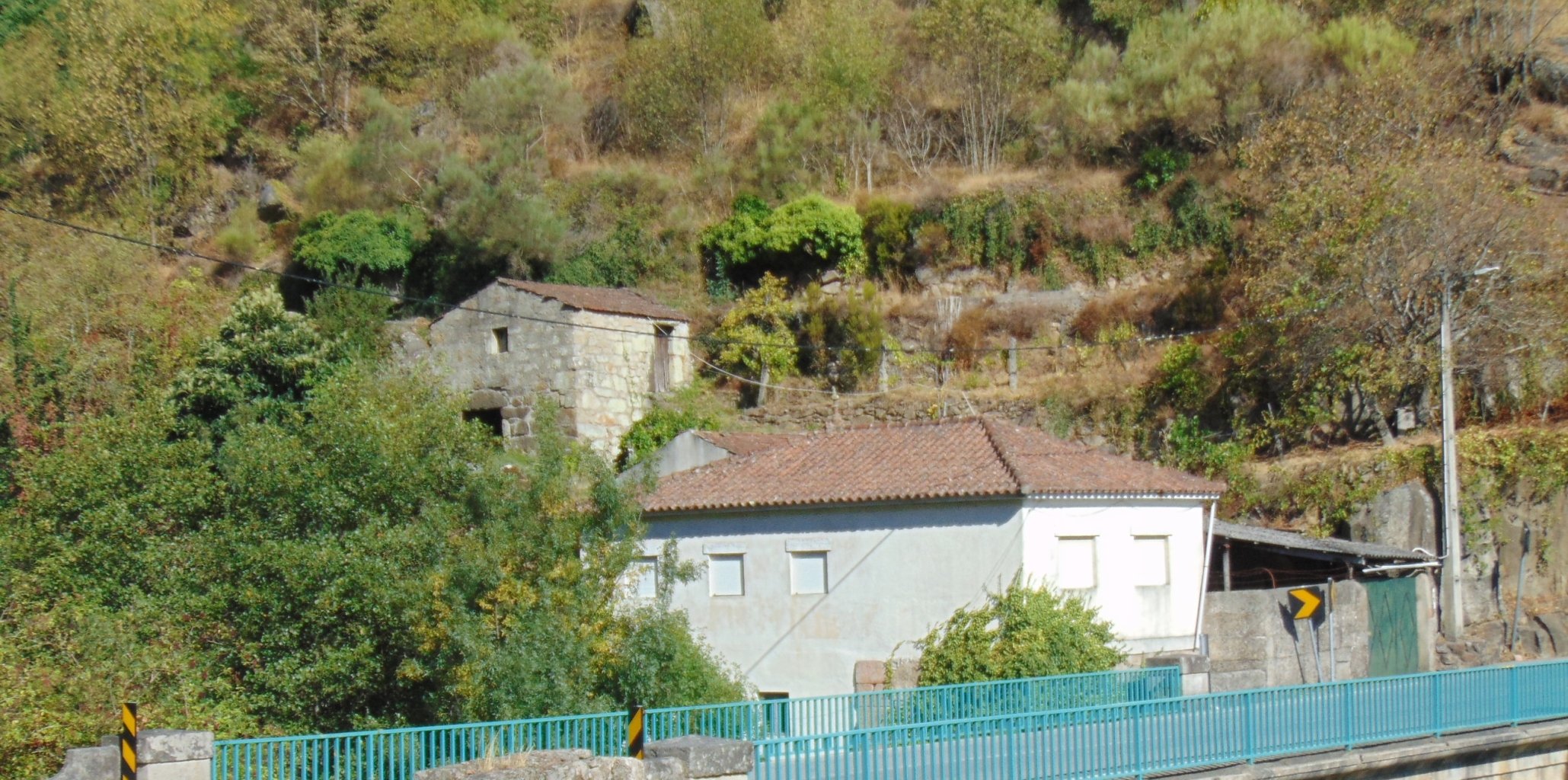 up9h009a825pqisvazvgo.jpg