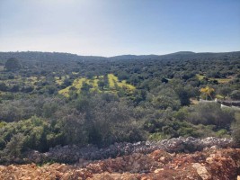 Fotografia 1 de Lote exclusivo com projeto aprovado para 2 moradias em São Brás de Alportel