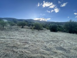 Fotografia 1 de Lote de Construção em Murça – Vila Nova de Foz Côa (4.650 m²)