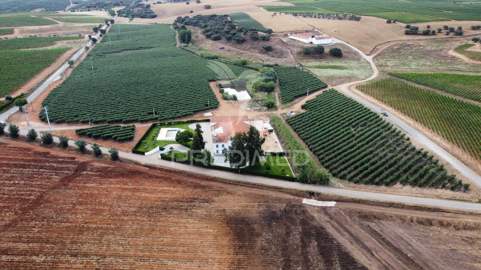 Herdade T4