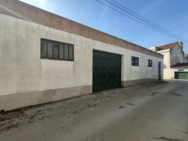 ujv519dfm8mf80aq3mnkgp.jpg
