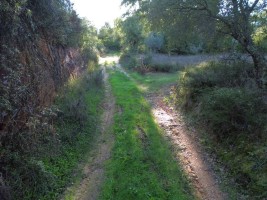 Fotografia 1 de Terreno Rústico de 9.680 m² em Arneiro das Milhariças