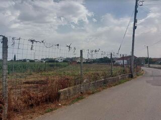 Fotografia 1 de Terreno Rústico em Oiã com 4.190m2