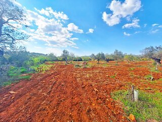 Fotografia 1 de Terreno Rustico em Loulé com acesso directo