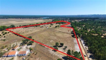 Fotografia 1 de Terreno de 7ha, Grândola, área de construção 229m2
