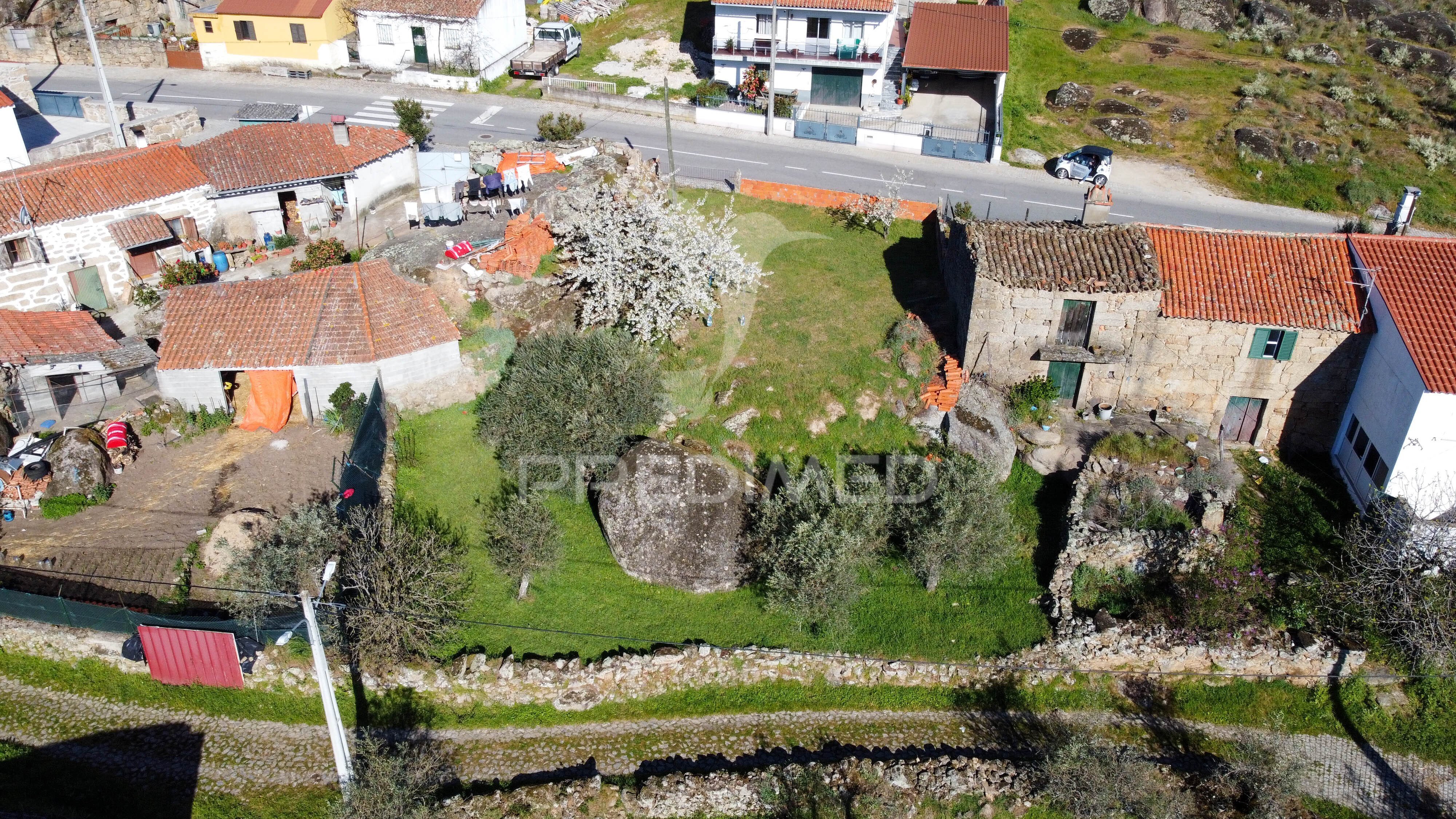 Terreno
