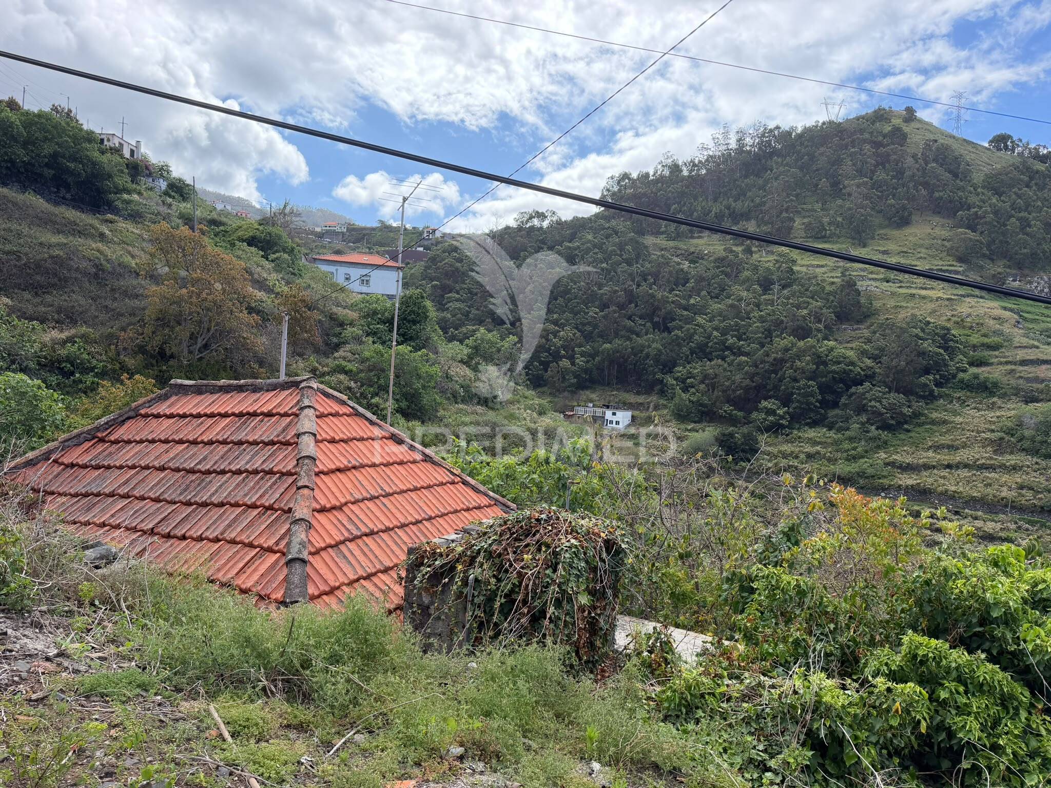 Casa Térrea T1