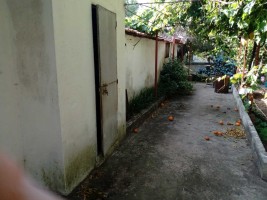 c94pgracoy2h04irq8d7r.jpg