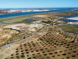 Fotografia 1 de Terreno à beira do Guadiana, com 25ha, com projecto de hotel