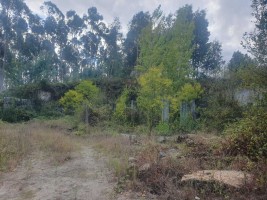 Fotografia 1 de Terreno com 22 000m2 em Fafe