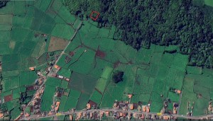 Fotografia 1 de Mata com 968m2