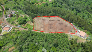 Fotografia 1 de Terreno 7.220 m² plano no Santo da Serra – Ideal para Turismo Rural, Quintas e Cavalos