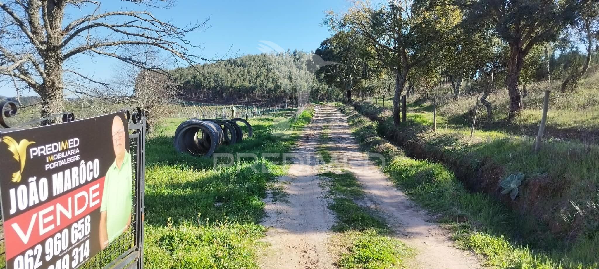 Quinta Agrícola T4