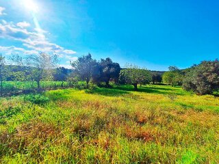 Fotografia 1 de Terreno Rustico em Loulé com acesso directo