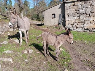 oto2p1mt759yyy8q70650q.jpg