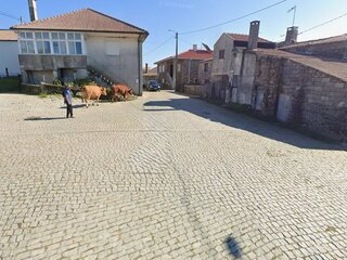 mmdz9v2514ss1denbz9sus.jpg