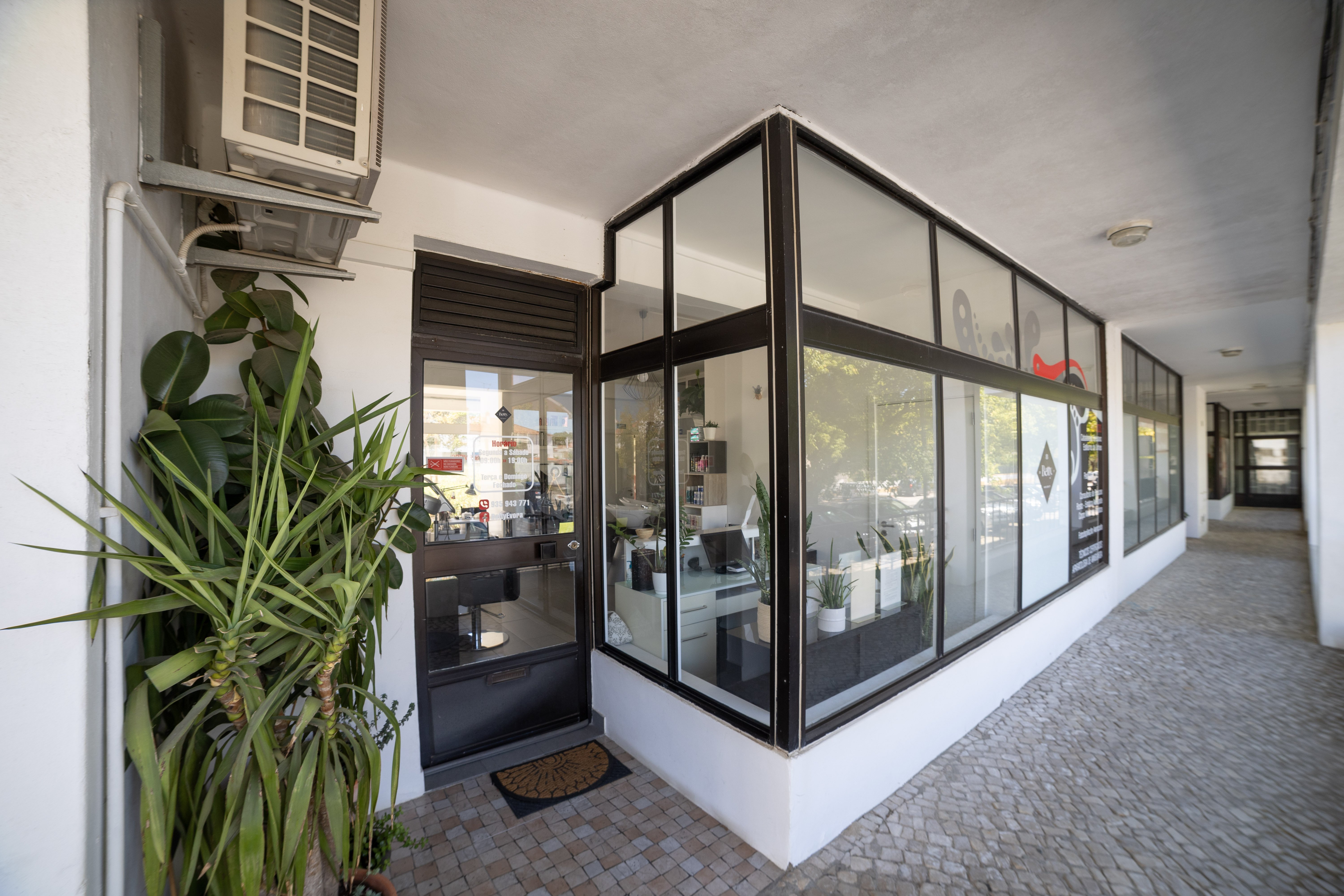 ades8n9soypeqqwq9t1vtq.jpg