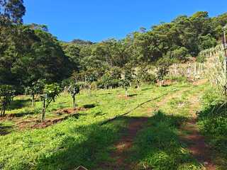 Fotografia 1 de Terreno com 21 500,00 m2 à Venda Em Caniçal