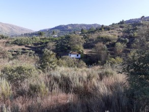 Fotografia 1 de Quinta com mais 4 hectares na Serra da Aldeia Nova