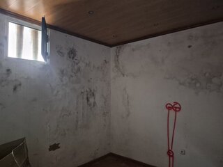 jwf2um629l2qbrye0nubf.jpg