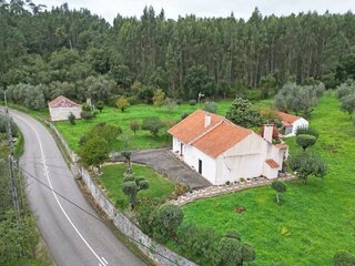 6qdi6anumdsjg1lbmowp.jpg