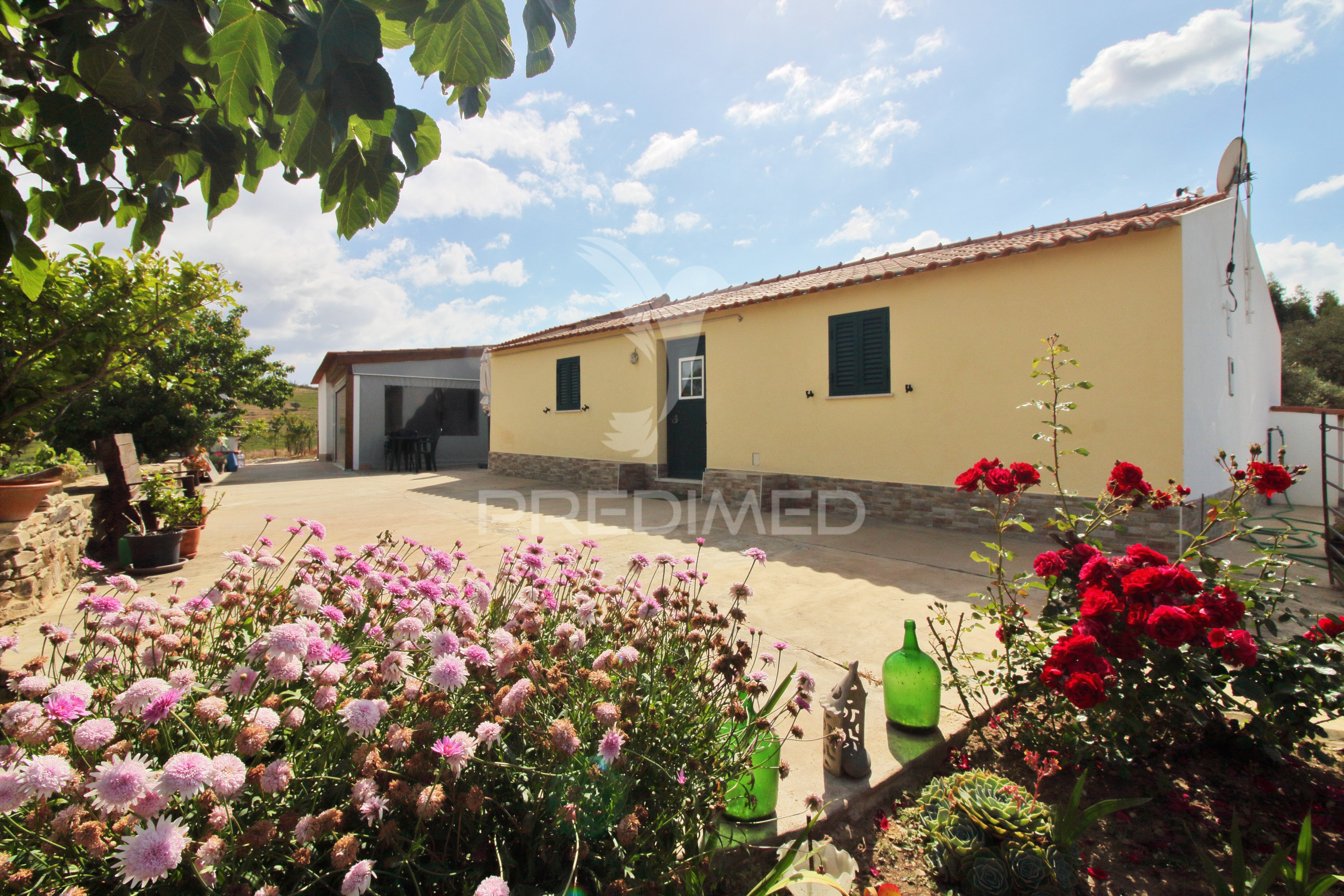 Quinta T4