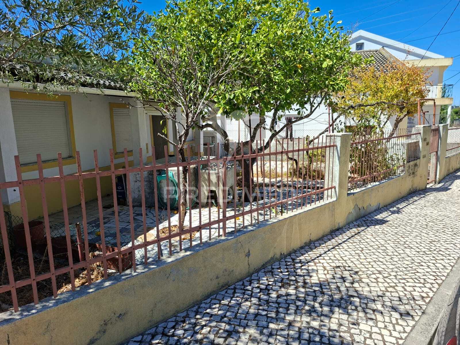 Terreno