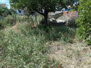 r65bboodbmss1jvre752id.jpg
