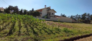 Fotografia 1 de Terreno para venda em Aguada de Baixo.