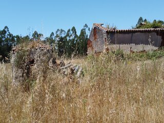 ihau1q5e0vkjm91qc2370l.jpg