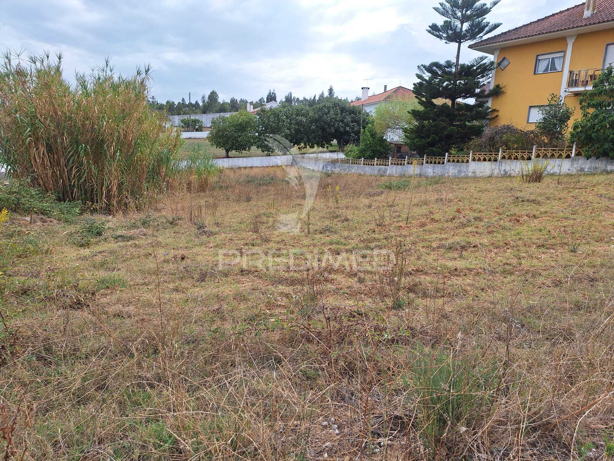 Terreno Urbano