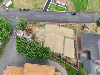 f9ui1sv9pit5avtw45x8sk.jpg