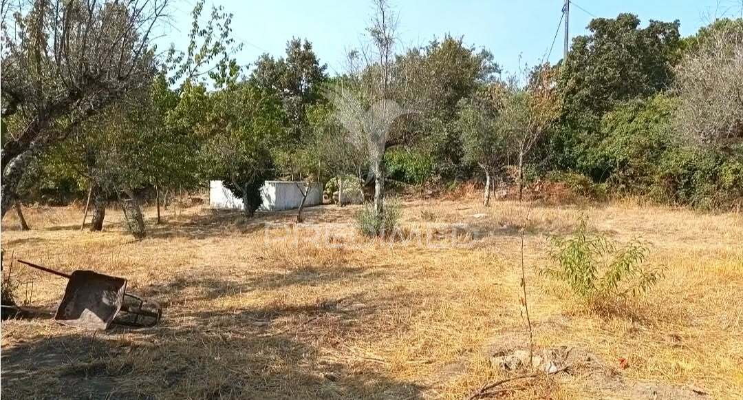 Quinta Rural T4