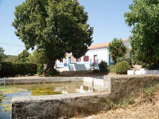 Fotografia 1 de Quinta no Alentejo