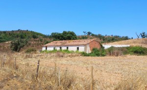 Fotografia 1 de Herdade com 36,9000 ha a 3 Km do Pego das Pias