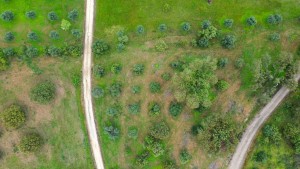 Fotografia 1 de Terreno Rústico de 5 Hectares à Venda ,Alandroal